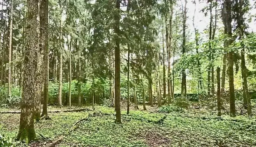 Участок, 10.4 сот., сельхоз (снт или днп) - Фото 0