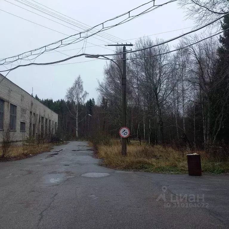 Участок в Санкт-Петербург, Санкт-Петербург, Зеленогорск Вокзальная ... - Фото 1