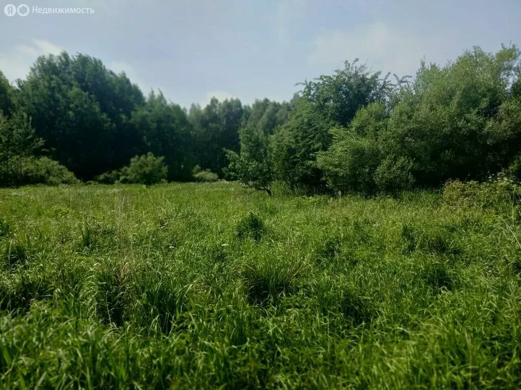 Участок в Калининградская область, Полесский муниципальный округ, ... - Фото 0