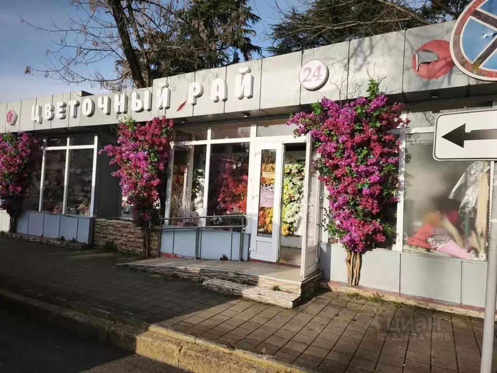 Торговая площадь в Краснодарский край, Сочи Центральный мкр, ул. ... - Фото 2