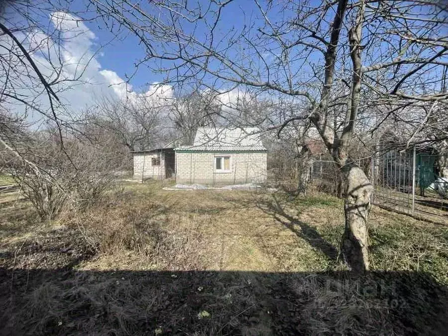 Участок в Воронежская область, Воронеж Садовод СНТ, ул. Виноградная, ... - Фото 2