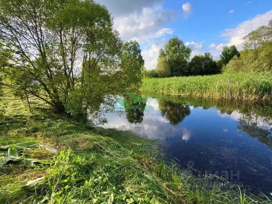 Участок в Белгородская область, Белгородский район, Поселок Разумное ... - Фото 0