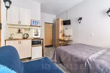 1-к кв. Санкт-Петербург Невский просп., 119 (20.0 м) - Фото 0