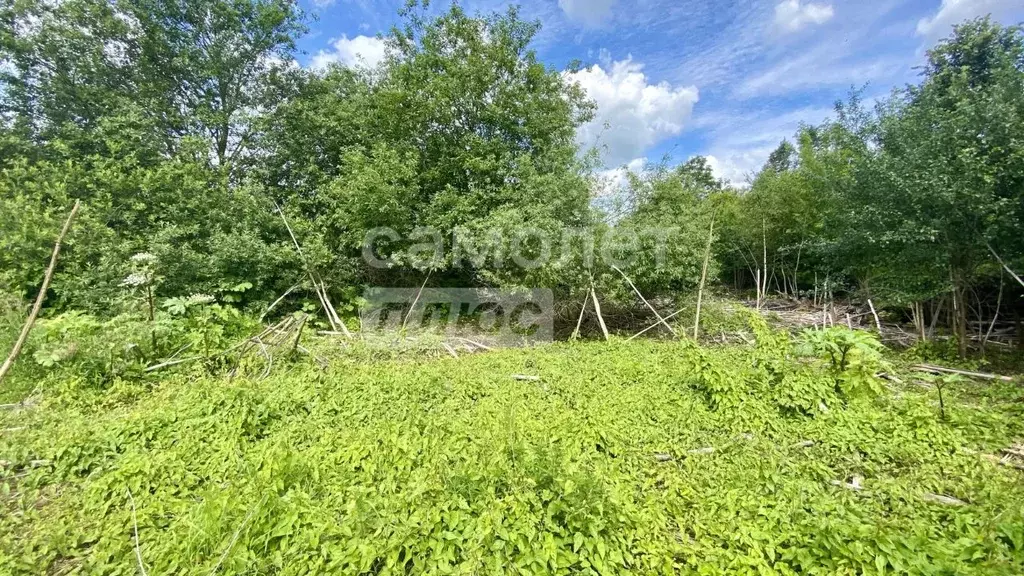 Участок в Московская область, Рузский муниципальный округ, пос. ... - Фото 1