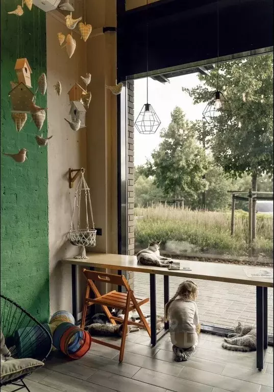 Помещение свободного назначения в Новосибирская область, Новосибирск ... - Фото 2