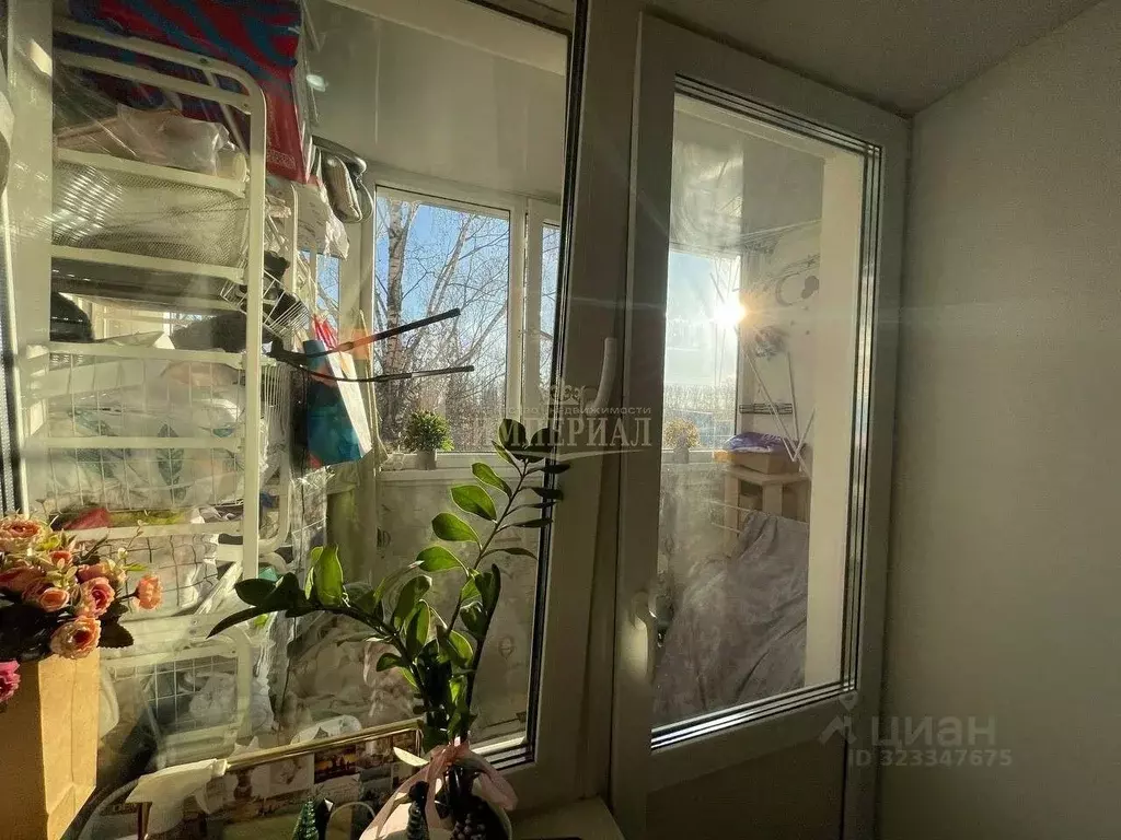 1-к кв. Марий Эл, Йошкар-Ола ул. Машиностроителей, 114 (33.1 м) - Фото 1