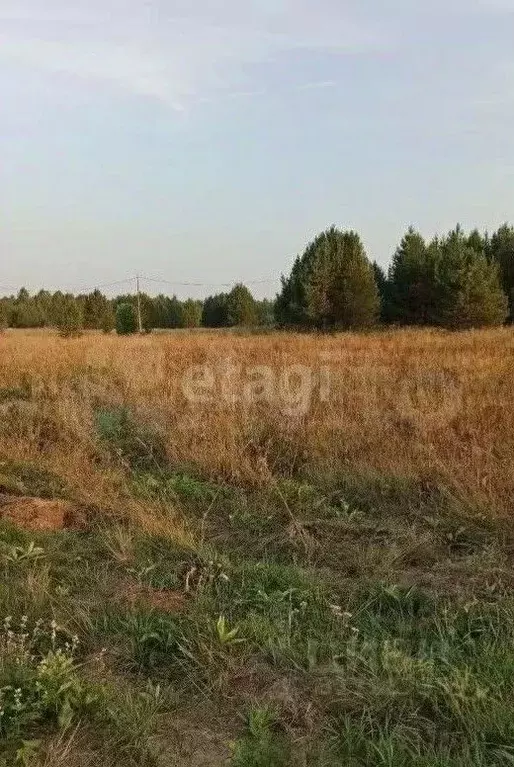 Участок в Свердловская область, Ревда муниципальный округ, с. Кунгурка ... - Фото 0