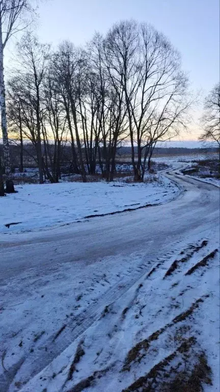Участок в Московская область, Ступино городской округ, д. Хирино ул. ... - Фото 1