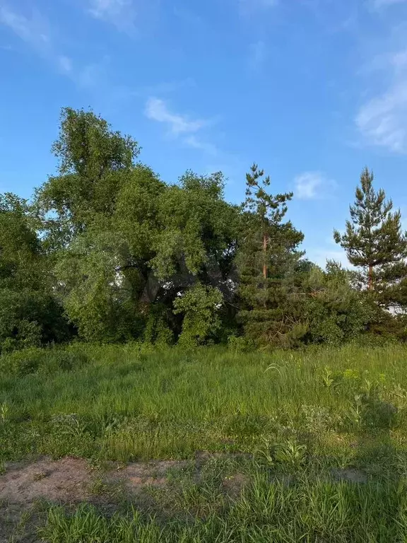 Участок 6,8 сот. (ИЖС) - Фото 0