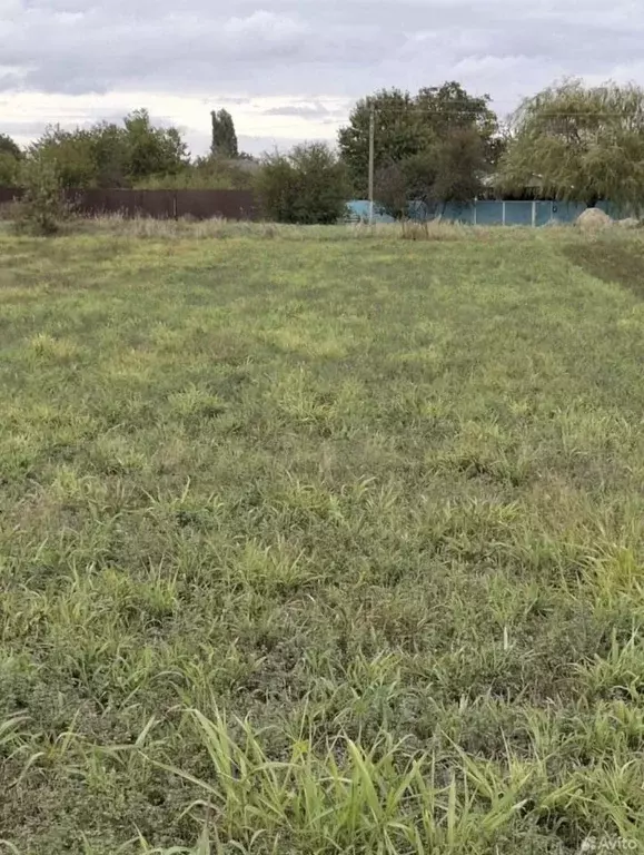 Участок в Краснодарский край, Усть-Лабинский район, Воронежское с/пос, ... - Фото 1