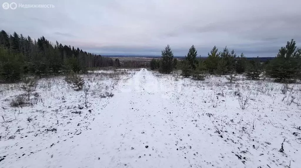 Участок в Пермский край, Ильинский муниципальный округ, село Филатово ... - Фото 2