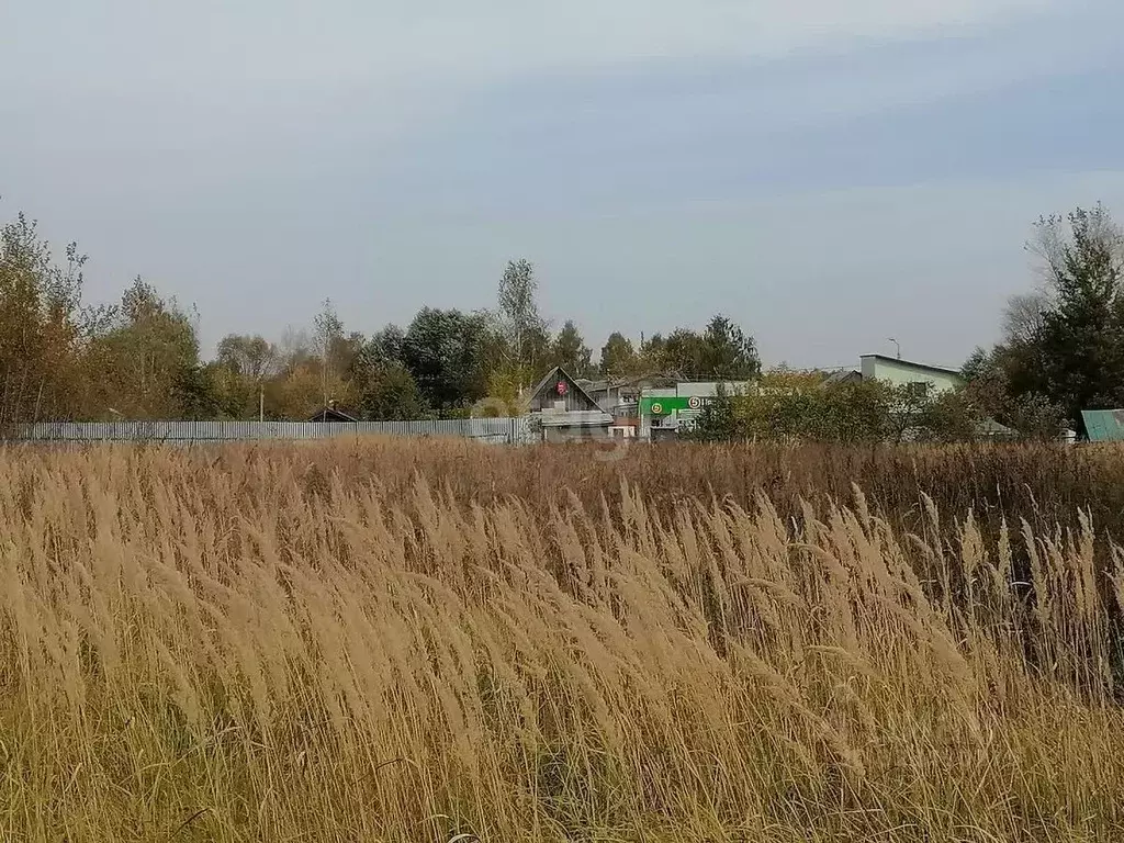 Участок в Владимирская область, Ковровский район, Малыгинское с/пос, ... - Фото 1