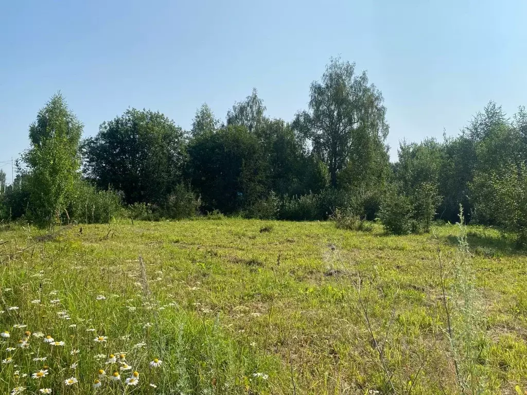 Участок в Пермский край, Кунгур ул. Ленина (8.3 сот.) - Фото 1