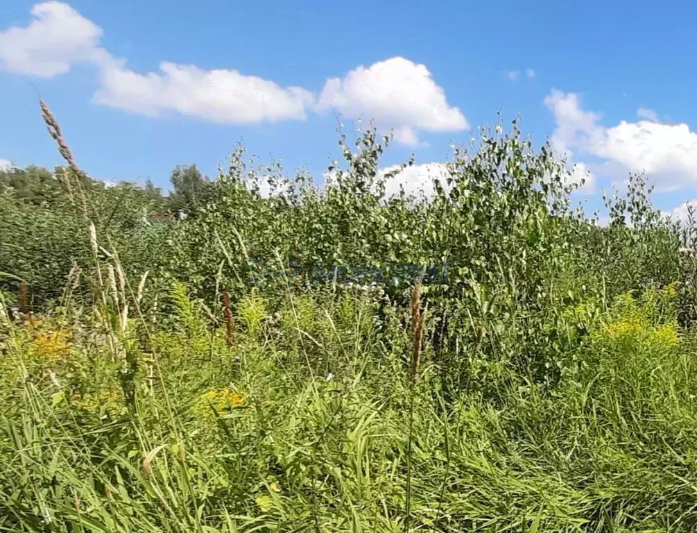 Участок в Нижегородская область, Семеновский муниципальный округ, д. ... - Фото 0