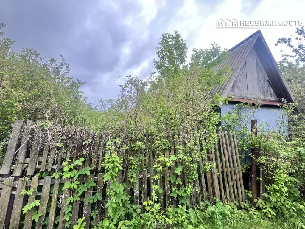 Участок в Оренбургская область, Оренбургский район, Нежинский ... - Фото 0