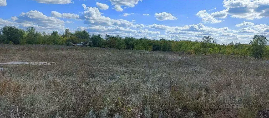 Участок в Самарская область, Кинельский район, Малая Малышевка с/пос, ... - Фото 2