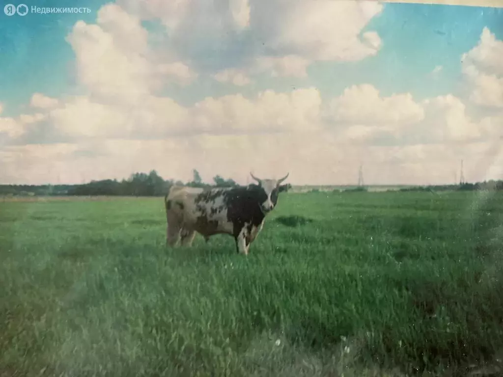 Участок в Иссадское сельское поселение, посёлок Речников (20 м) - Фото 1