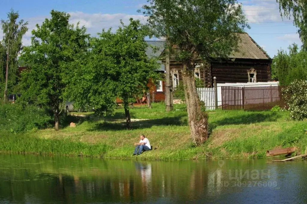 Участок в Владимирская область, Суздальский район, Селецкое ... - Фото 0