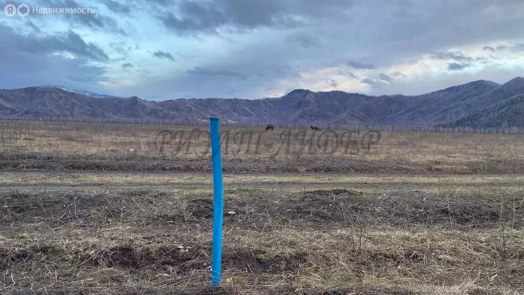 Участок в Усть-Коксинский район, село Тюнгур (12.5 м) - Фото 2