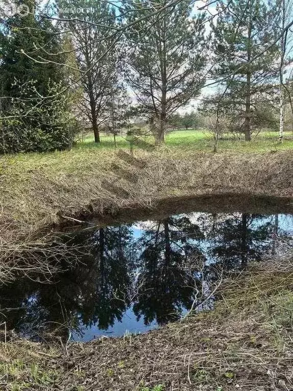 Дом в Любанское городское поселение, деревня Русская Волжа (113.3 м) - Фото 0