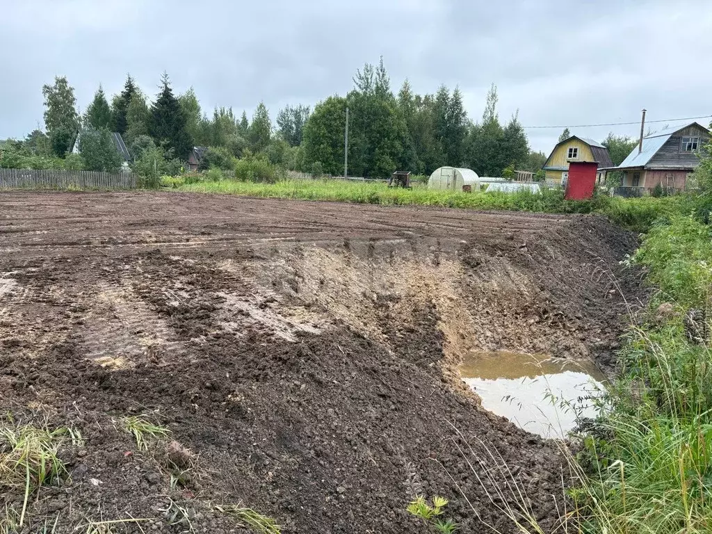 Участок в Вологодская область, Сокольский муниципальный округ, ... - Фото 2