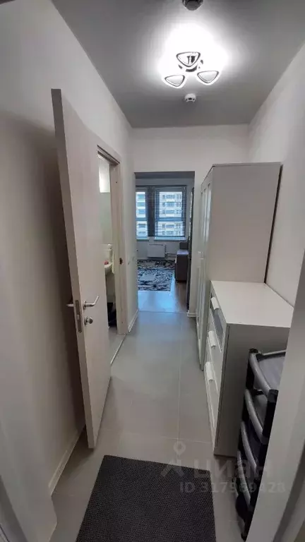Студия Краснодарский край, Новороссийск ул. Григорьева, 12 (19.5 м) - Фото 1