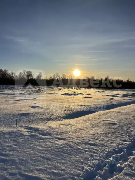 Участок в Тюменская область, Нижнетавдинский район, с. Средние Тарманы ... - Фото 1