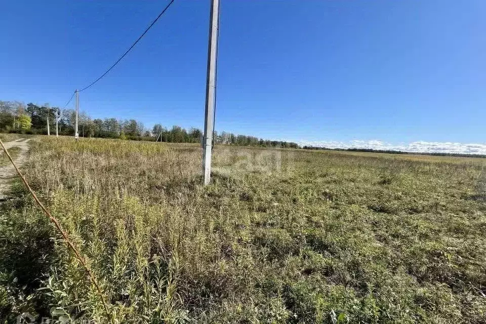 Участок в Кировская область, Кирово-Чепецкий район, Кстининское с/пос, ... - Фото 1