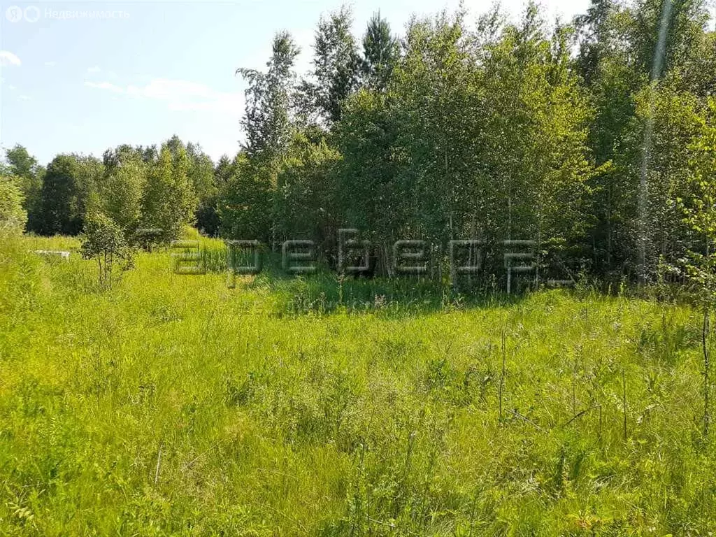 Участок в Берёзовский район, Есаульский сельсовет, ДНТ Родничок-3, 123 ... - Фото 1