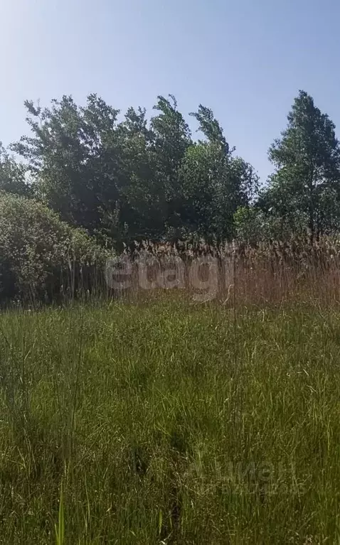 Участок в Тюменская область, Тюмень Малинка садовое товарищество, ул. ... - Фото 1