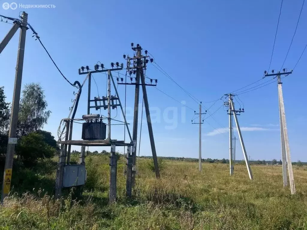 Участок в Калининградская область, Зеленоградский муниципальный округ, ... - Фото 2