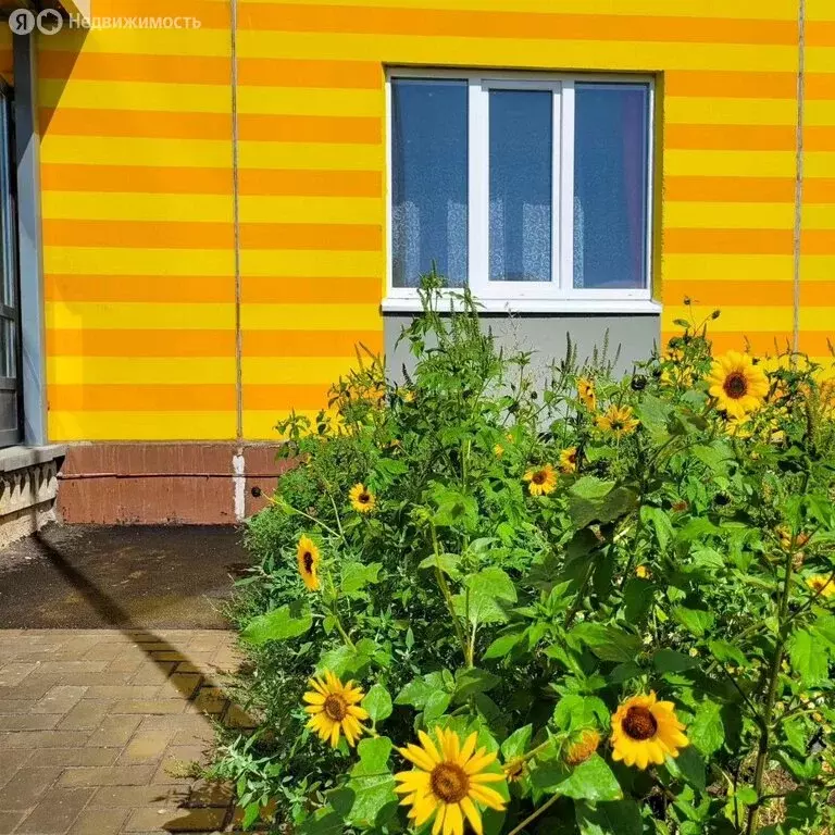 1-комнатная квартира: Оренбург, улица Юркина, 6 (43.36 м) - Фото 1