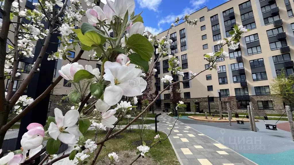3-к кв. Москва Внуковское поселение, ул. Бориса Пастернака, 4 (85.1 м) - Фото 0