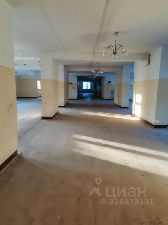 Помещение свободного назначения в Санкт-Петербург Шафировский просп., ... - Фото 1