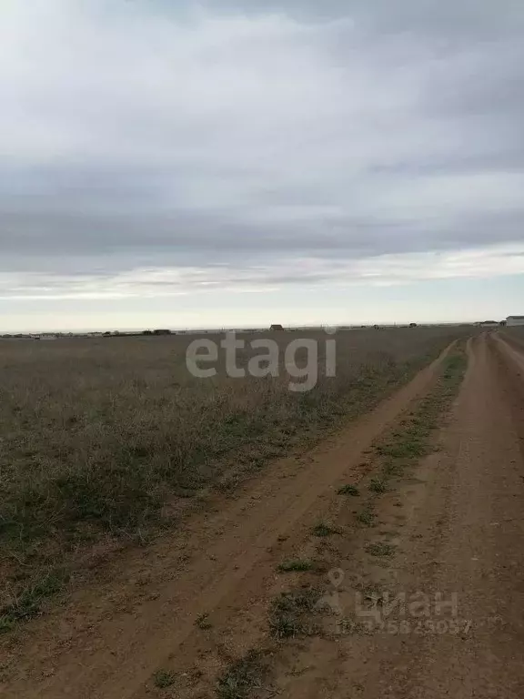Участок в Крым, Сакский район, Молочненское с/пос, с. Витино  (6.0 ... - Фото 0