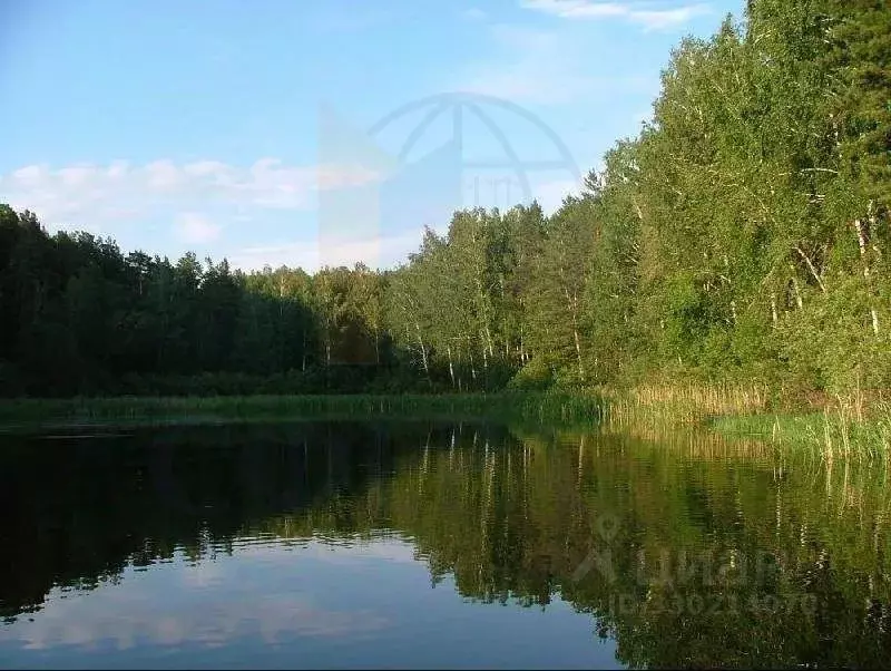 Участок в Новосибирская область, Ордынский район, д. Новый Шарап  ... - Фото 2