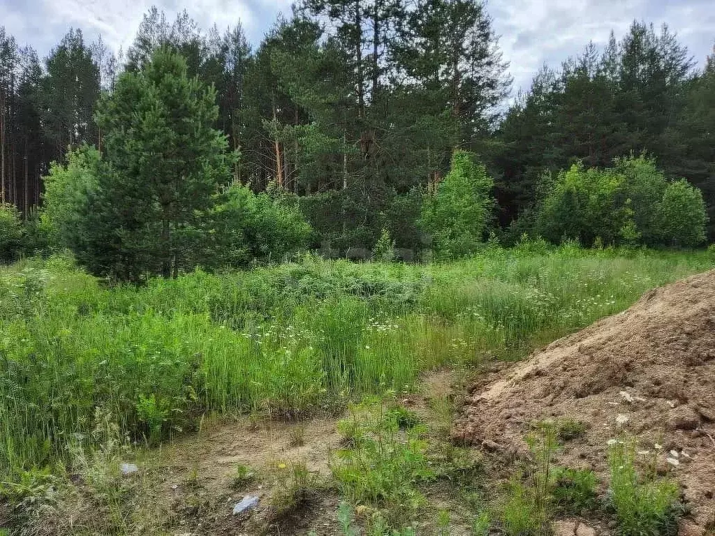 Участок в Свердловская область, Нижний Тагил ул. Надеждинская (6.0 ... - Фото 1