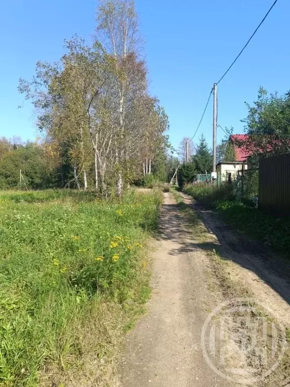 Участок в Ленинградская область, Выборгский район, Рощинское городское ... - Фото 2