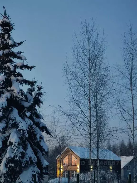 Дом в Нижегородская область, Нижний Новгород Первоцвет СНТ, 102 (140 ... - Фото 2