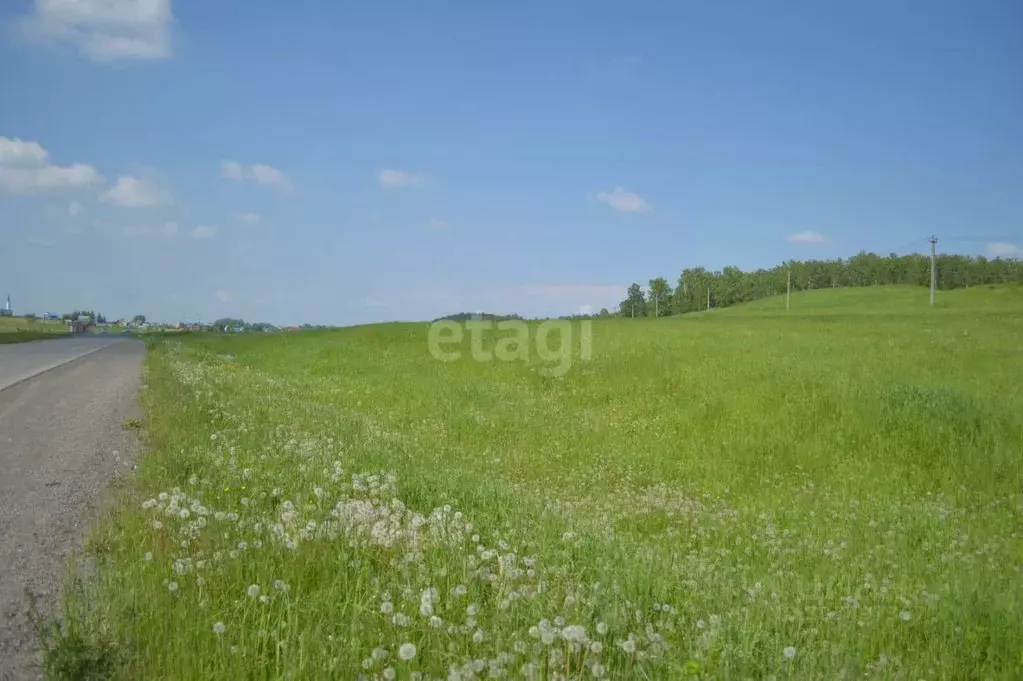 Участок в Кемеровская область, Прокопьевск Сафоново мкр,  (10.0 сот.) - Фото 0