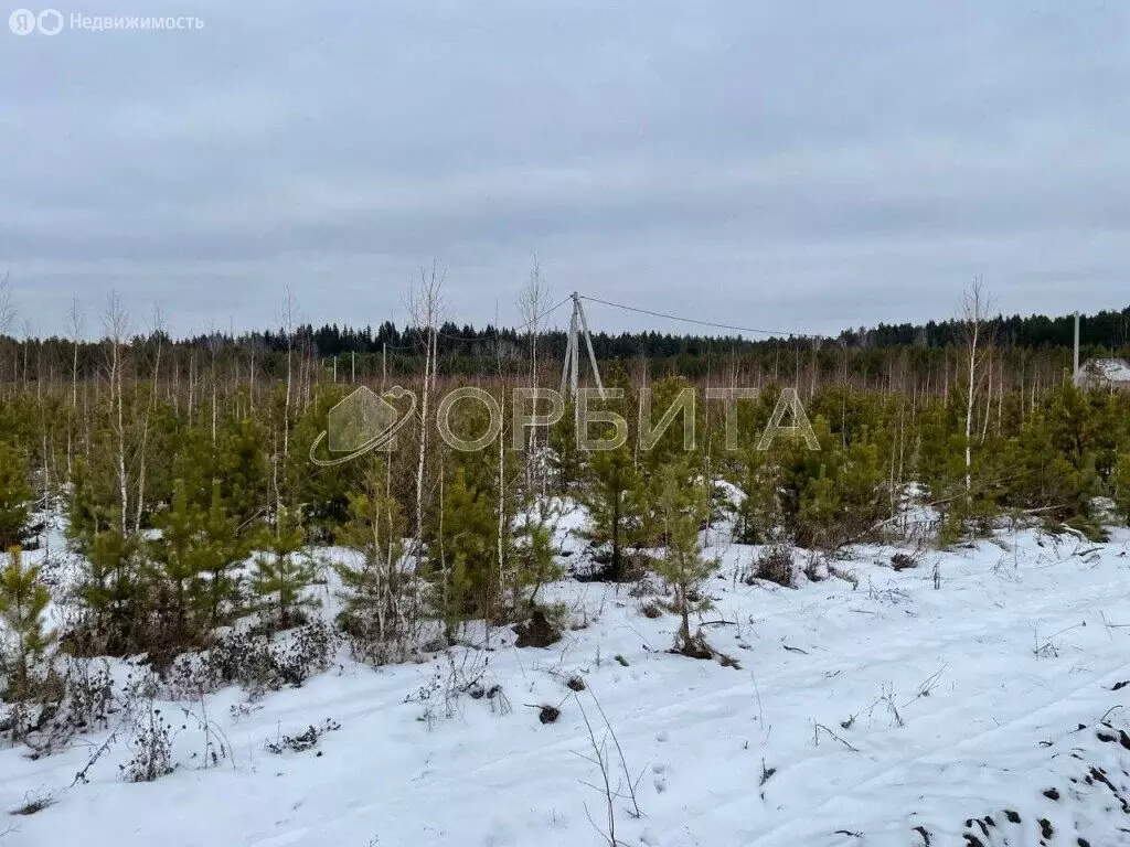 Участок в посёлок городского типа Тугулым, Берёзовая улица (6.66 м) - Фото 0