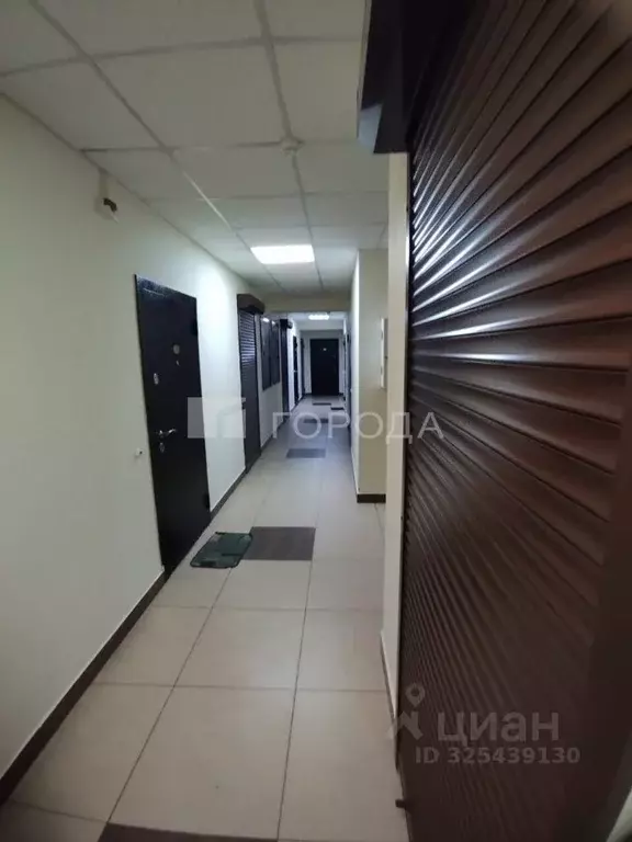 Склад в Новосибирская область, Новосибирск ул. Бориса Богаткова, 260/1 ... - Фото 1