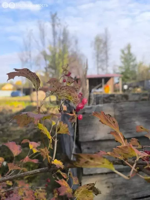 Дом в Тюменская область, Нижнетавдинский муниципальный округ, СТ ... - Фото 2
