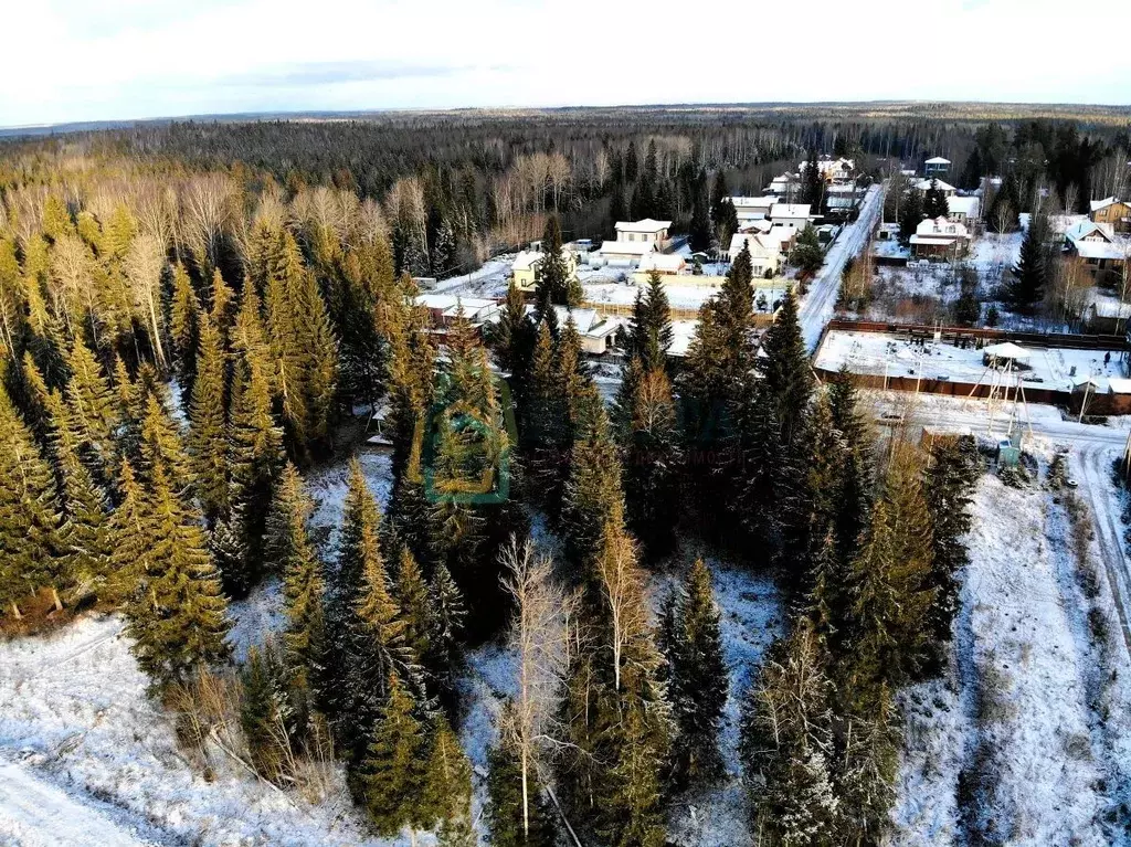 Участок в Ленинградская область, Всеволожский район, Лесколовское ... - Фото 1