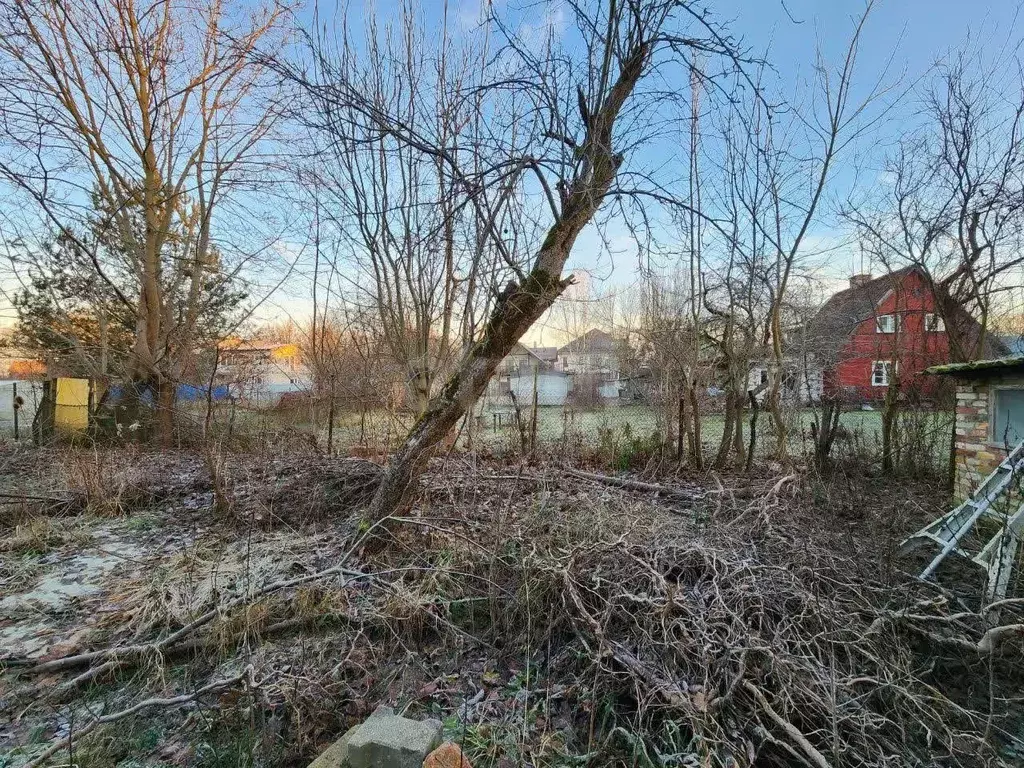 Участок в Калининградская область, Калининград Мечта СНТ, пер. ... - Фото 2