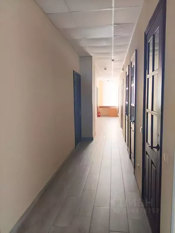 Студия Крым, Ялта муниципальный округ, Симеиз пгт ул. Владимира ... - Фото 2