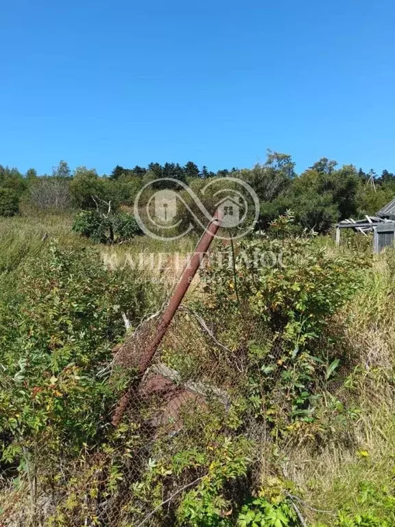 Участок в Сахалинская область, Корсаковский городской округ, с. Вторая ... - Фото 1