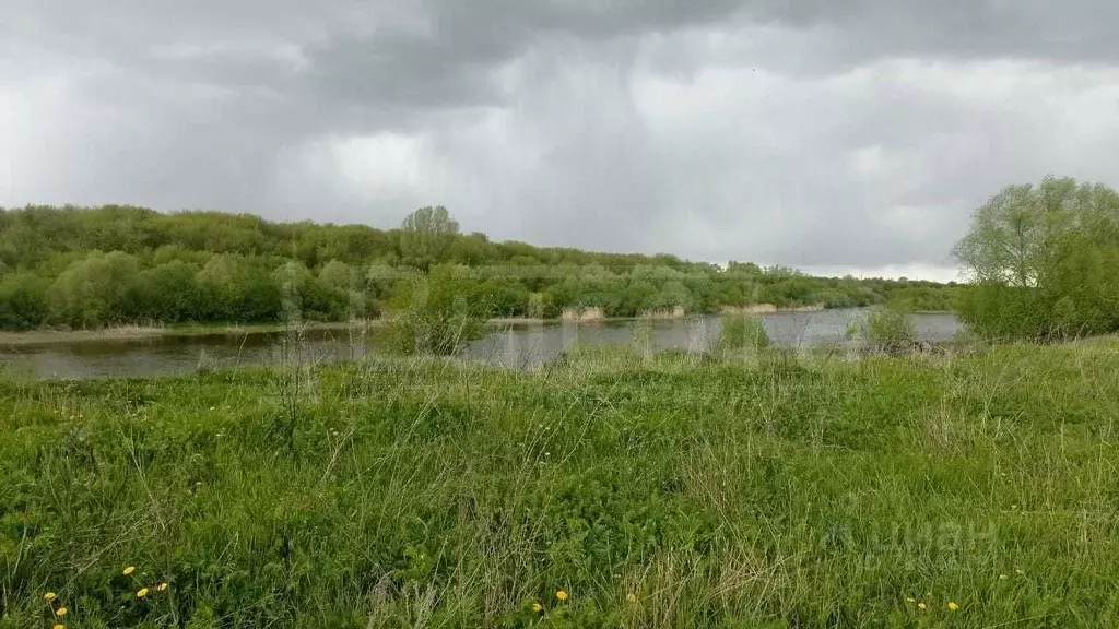 Купить Участок В Воронеже Рамонский Район