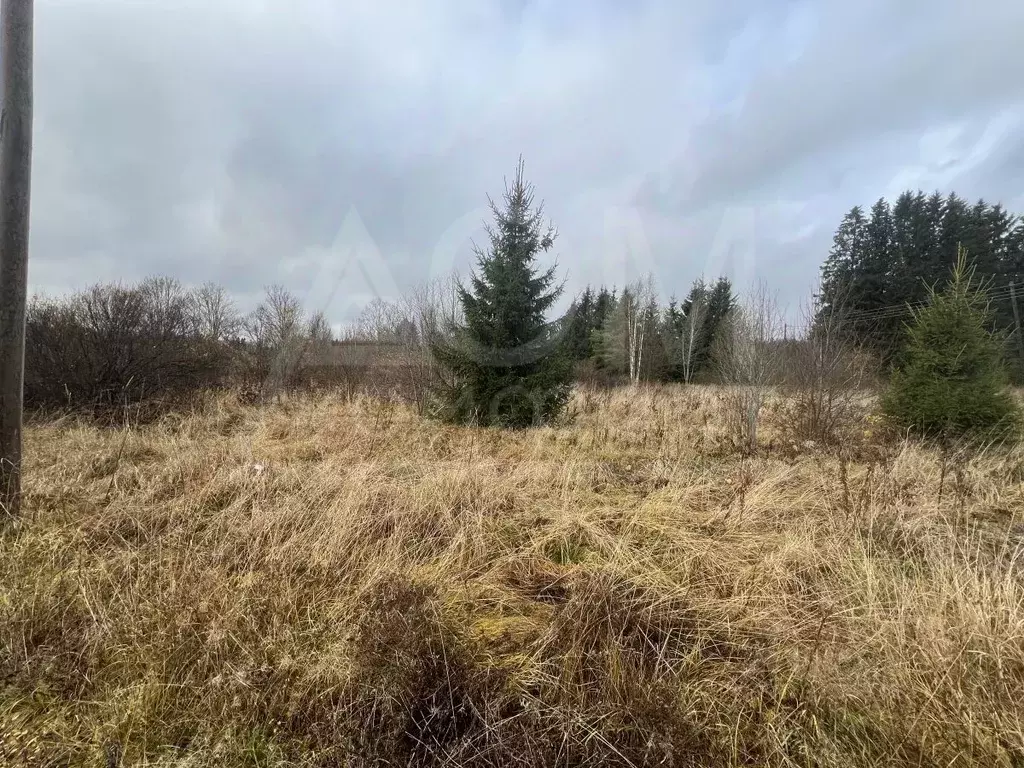 Участок в Ленинградская область, Выборгский район, Каменногорское ... - Фото 2