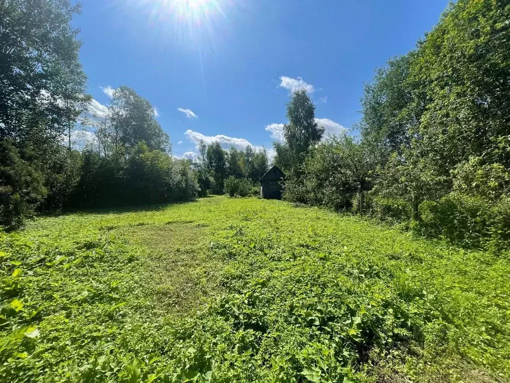 Участок в Тверская область, Калязинский муниципальный округ, д. ... - Фото 1